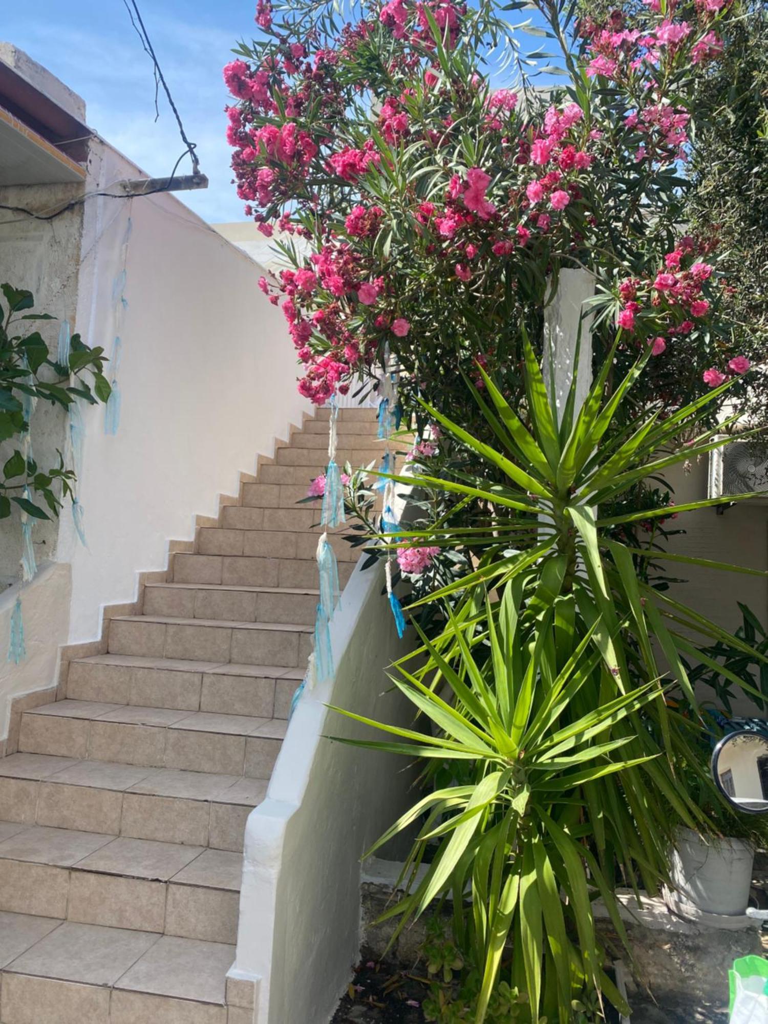 Seaside Home 罗希姆诺 外观 照片