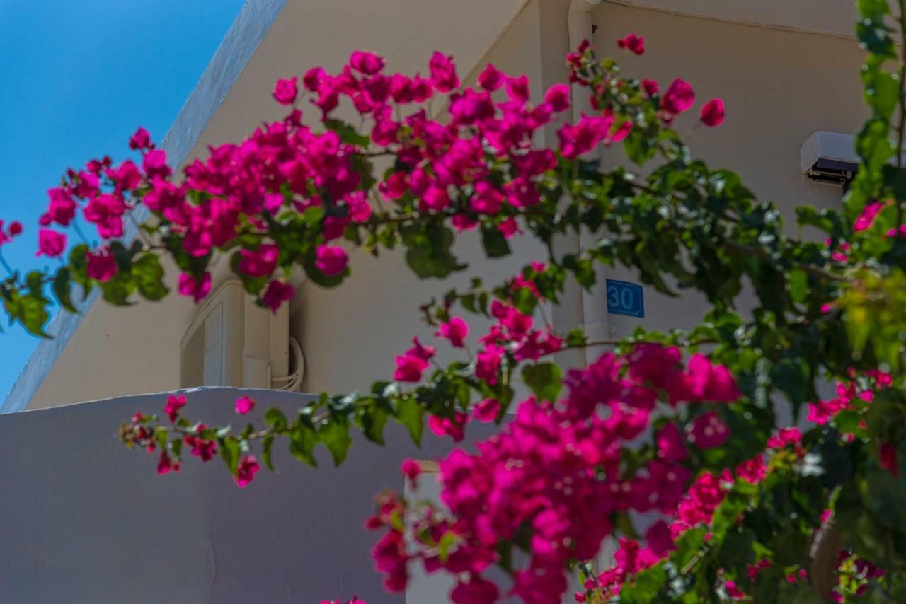 Seaside Home 罗希姆诺 外观 照片